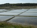 2017-09-26 15-13-31 Circuit la pointe de Merquel MBo